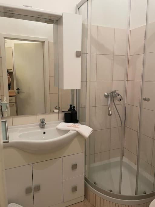 Helen Homestay Vysehrad Prag Eksteriør billede